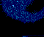 Stage 2-5 - Fantasia
