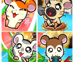 Cards - Hi! Hamtaro: Ham-Ham Challenge