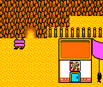 Illusion Village - Robopon