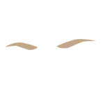 Eyebrows - SELFY COLLECTION The dream fashion stylist!