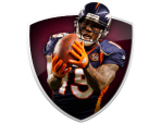Trophy Icons - Madden NFL 11