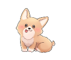 Pets - Soulworker