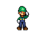 Luigi - Mario Customs