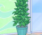 Fashion Shop Background (Levels 11-15) - Cake Mania: Lights, Camera, Action!