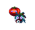 Tomatoes - Kyuiin (JPN)