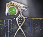 The Electro-Cardiogram Witch [memoria_2016] - Puella Magi Madoka Magica Side Story: Magia Record