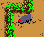 Maize Maze - Looney Tunes Collector: Martian Revenge