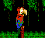 Peter - StarTropics