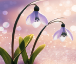 A Proof of Us Blooming in the Snow [memoria_1990] - Puella Magi Madoka Magica Side Story: Magia Record