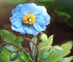 Ashes Return to Earth, then to Flowers [memoria_1895] - Puella Magi Madoka Magica Side Story: Magia Record
