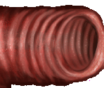 Bronchoscopy - House M.D.