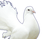 Sakuya - Hatoful Boyfriend