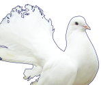 Sakuya - Hatoful Boyfriend: Holiday Star