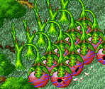 Conception Village (Exterior) - Tengai Makyou Zero / Far East of Eden Zero (JPN)