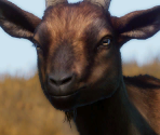 Alphine Goat - Planet Zoo