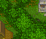 Blue Lake Village (Exterior, Overgrown) - Tengai Makyou Zero / Far East of Eden Zero (JPN)