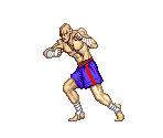 Sagat - Super Street Fighter II: The New Challengers