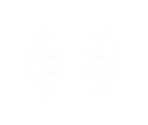 Pointer - The Amazing Spider-Man