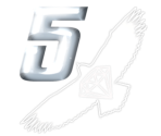 Trophy Banner & Icons - Tony Hawk's Pro Skater 5