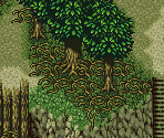 Life Forest 1 - Tengai Makyou Zero / Far East of Eden Zero (JPN)