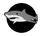 Trophy Icons - Call of Duty: Ghosts