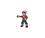 Brendan - Pokémon Customs