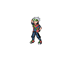 Brendan (Emerald) - Pokémon Customs