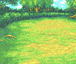 Battle Backgrounds - Final Fantasy 2: Dawn of Souls