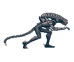 Alien Warrior - Alien vs. Predator