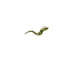 Chestburster - Alien vs. Predator