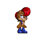 Sally - Sonic the Hedgehog Media Customs