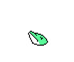 Dolphin - StarTropics