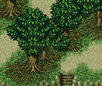 Life Forest 3 - Tengai Makyou Zero / Far East of Eden Zero (JPN)