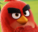 Splash Screen (Angry Birds) - Sonic Dash