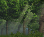 Battle Backgrounds (3D) - Evoland