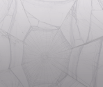 Game Banner & Icon - The Amazing Spider-Man 2