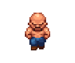 Pirate Boss - Evoland II