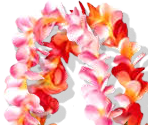 Flowers - Bilbo: The Four Corners of the World