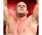 Trophy Banner & Icons - WWE 2K14