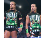 Trophy Icons - WWE 2K15