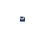 Memory Card Icon - WWF SmackDown!