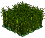 Cane Field - The Simpsons: Tapped Out