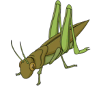 Giant Grasshopper - The Simpsons: Tapped Out