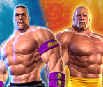 Game Banner & Icon - WWE All Stars