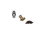 Dogs - Octopath Traveler: Champions of the Continent