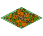 Pumpkin Patch - The Simpsons: Tapped Out