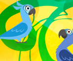 Game Banner & Icon - Rio