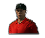 Trophy Banner & Icons - Tiger Woods PGA Tour 13