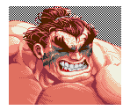 Continue Portraits (Super Street Fighter II Turbo) - Street Fighter 2 / Super Street Fighter 2