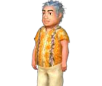 Hawaii Man - Dress Up Rush